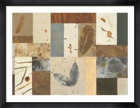 Framed Nature&#39;s Collection Print