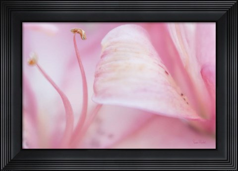 Framed Fairy Land Print