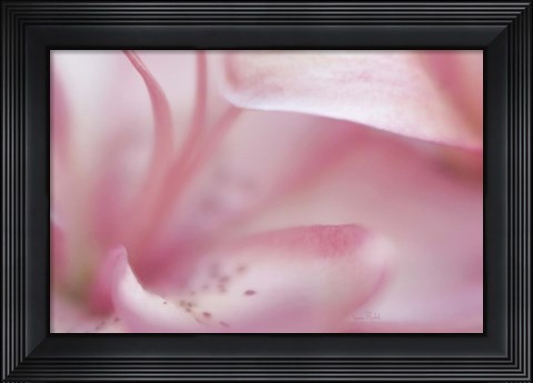 Framed Fairy Land II Print
