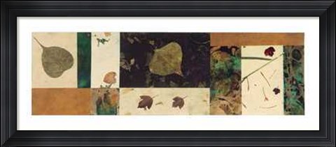 Framed Nature II Print