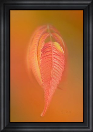 Framed Sumac Leaf Print