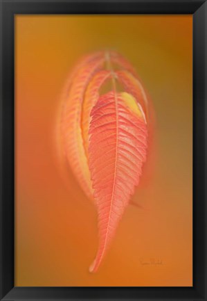 Framed Sumac Leaf Print