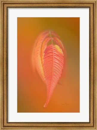 Framed Sumac Leaf Print