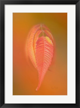 Framed Sumac Leaf Print