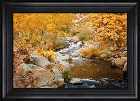 Framed Fall Creek Print