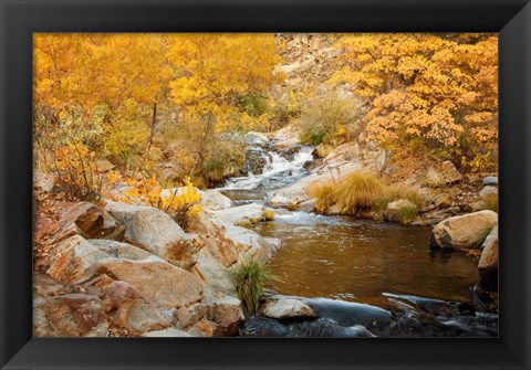 Framed Fall Creek Print