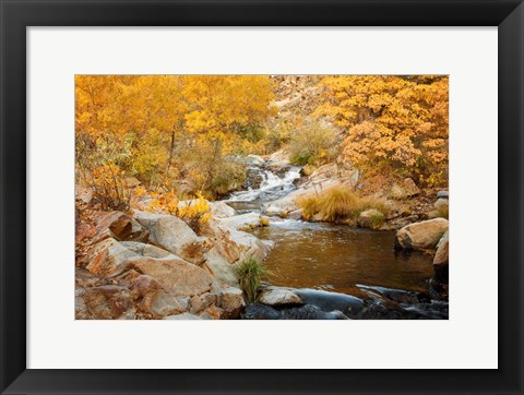 Framed Fall Creek Print