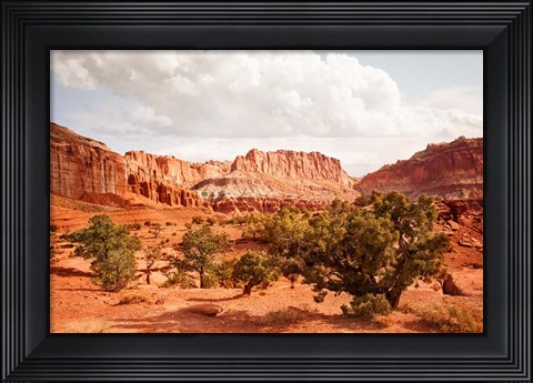 Framed Capital Reef Utah Print