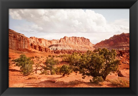 Framed Capital Reef Utah Print