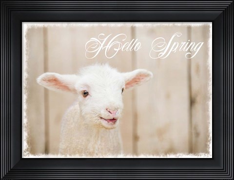 Framed Hello Spring Lamb Print