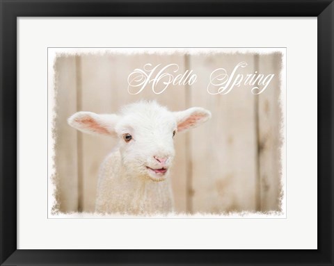 Framed Hello Spring Lamb Print