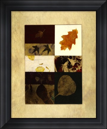 Framed Essential Nature IV Print