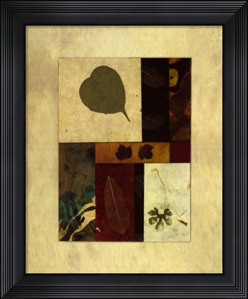 Framed Essential Nature III Print