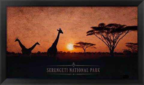 Framed Vintage Sunset with Giraffes in Serengeti National Park, Africa Print