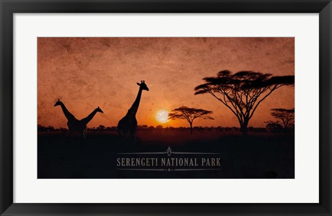 Framed Vintage Sunset with Giraffes in Serengeti National Park, Africa Print