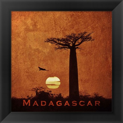 Framed Vintage Baobab Trees at Sunset in Madagascar, Africa Print