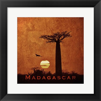 Framed Vintage Baobab Trees at Sunset in Madagascar, Africa Print