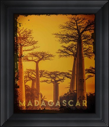 Framed Vintage Baobab Trees in Madagascar, Africa Print