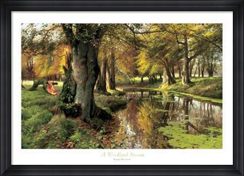 Framed Woodland Stream Print
