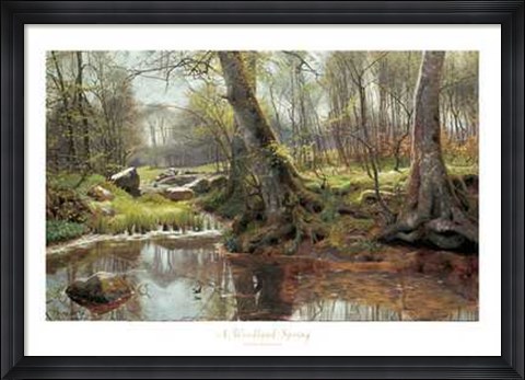 Framed Woodland Spring Print