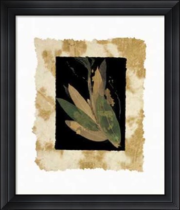Framed Phillip Jaeger - Floral Noir II Size 19.75x23.75 Print