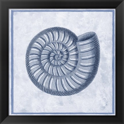 Framed Blue Nautilus A Print