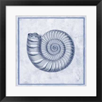 Framed Blue Nautilus B Print