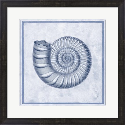 Framed Blue Nautilus B Print