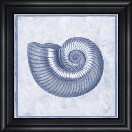 Framed Blue Nautilus D Print