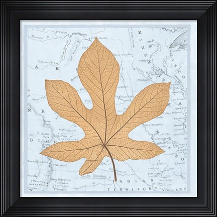 Framed Nature&#39;s Profile A Print