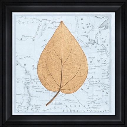 Framed Nature&#39;s Profile D Print
