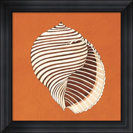 Framed Cayman Quartet A Print