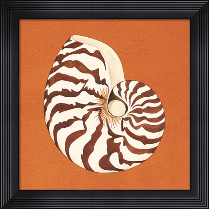 Framed Cayman Quartet C Print