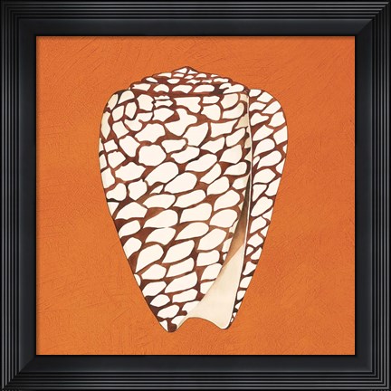 Framed Cayman Quartet D Print
