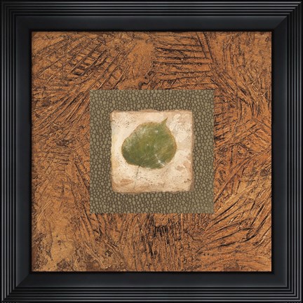 Framed Sedona Naturals A Print