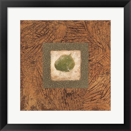 Framed Sedona Naturals A Print