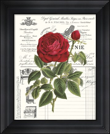 Framed Heirloom Roses B Print