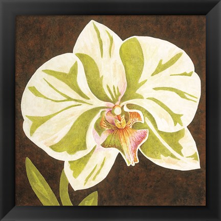 Framed Surabaya Orchid Petites A Print