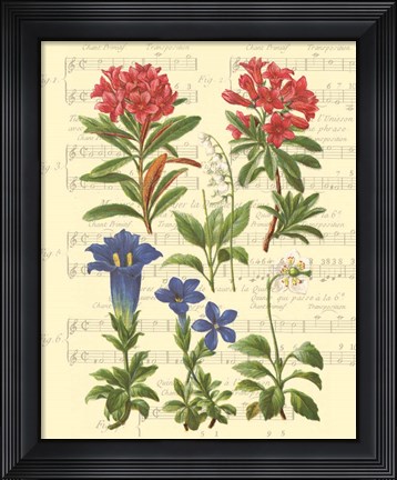 Framed Allegro I Print