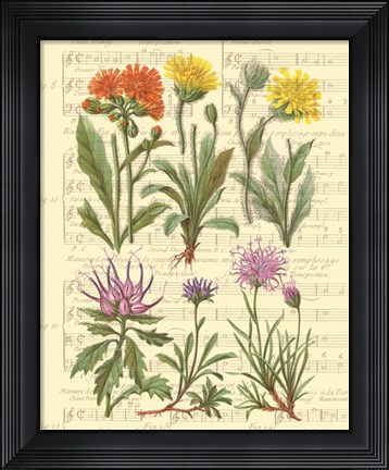 Framed Allegro II Print