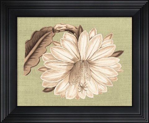 Framed Regence Lily II Print