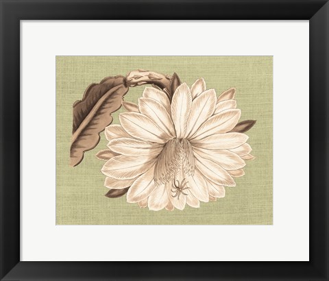 Framed Regence Lily II Print