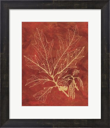 Framed Golden Oak I Print
