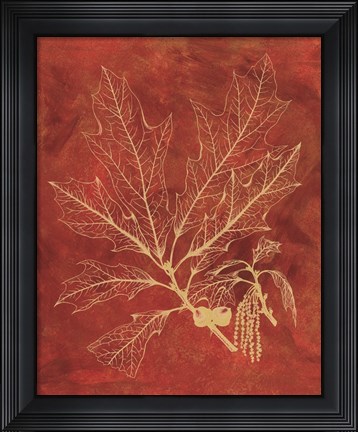 Framed Golden Oak I Print