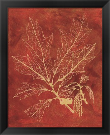 Framed Golden Oak I Print