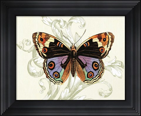 Framed Butterfly Theme I Print