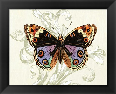 Framed Butterfly Theme I Print