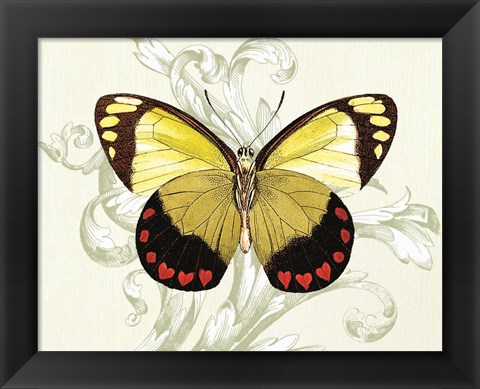 Framed Butterfly Theme II Print