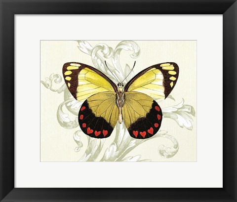 Framed Butterfly Theme II Print