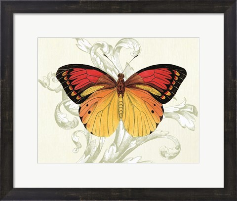 Framed Butterfly Theme III Print